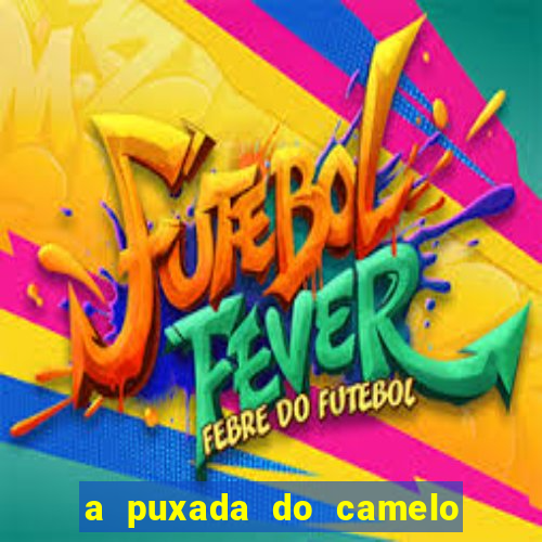 a puxada do camelo no jogo do bicho